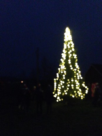 Nissemarsj 2014